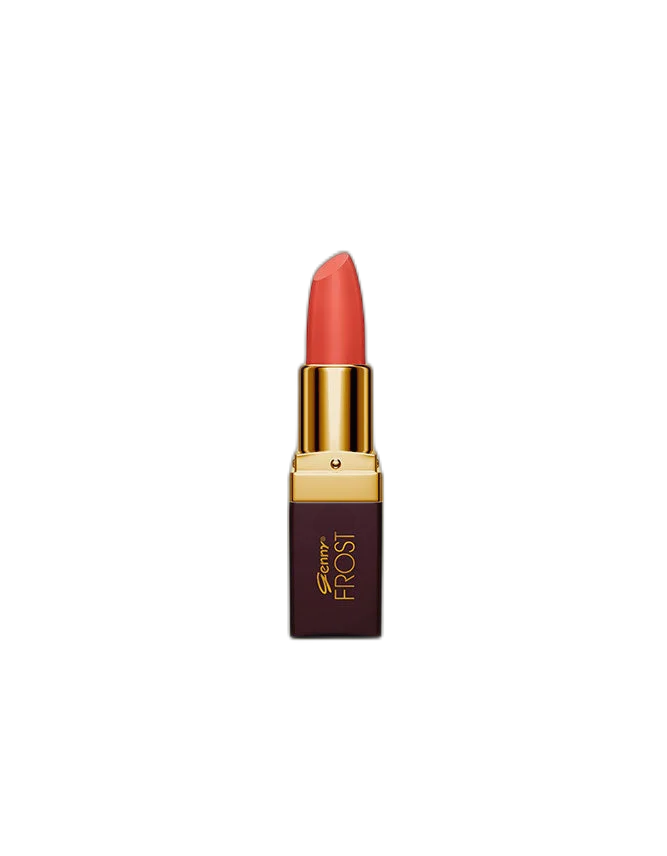 Lipstick – Dark Coco – 29